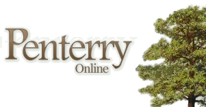 Penterry Online